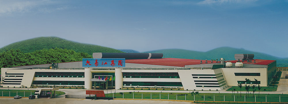     Jiangmen Dachangjiang Group Co., Ltd