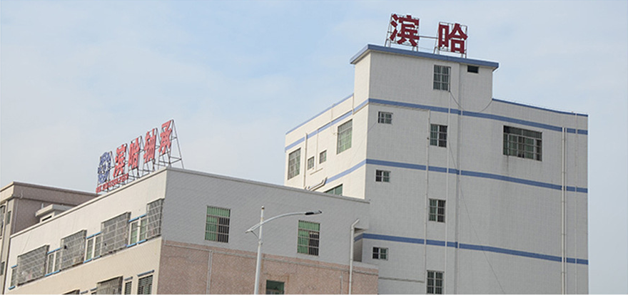 Shenzhen Binha Industrial Co., Ltd