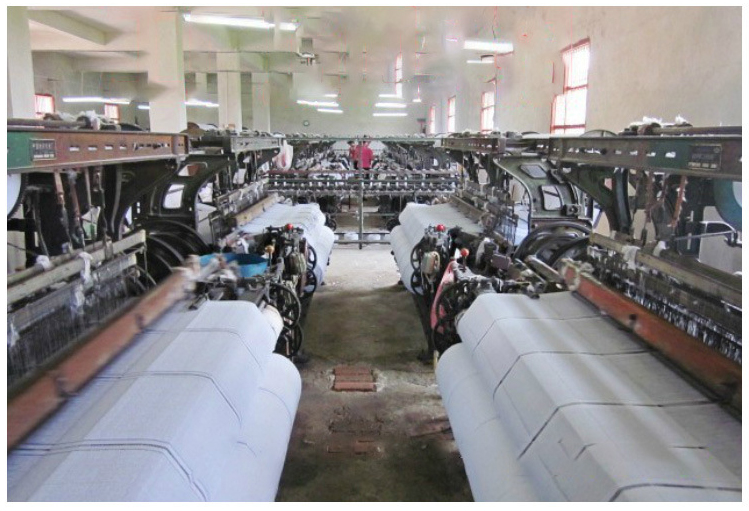 Shenzhen Feiliya Textile Co., Ltd