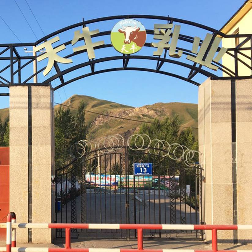     Xinjiang Tianniu Dairy Industry Co., Ltd